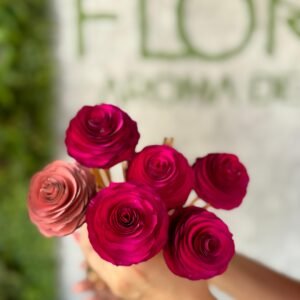 Varetas Rosas Diversas